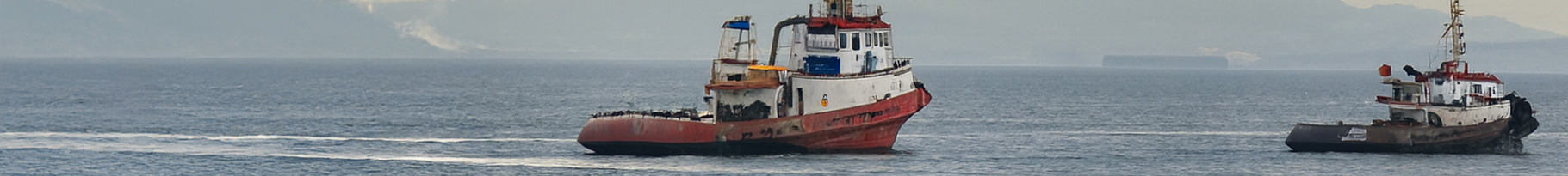 Açıklayıcı Resim 2