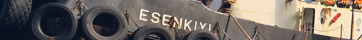 Açıklayıcı Resim 3