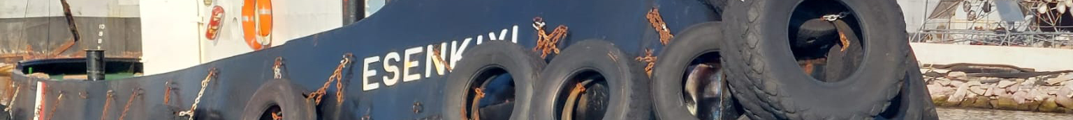 Açıklayıcı Resim 5